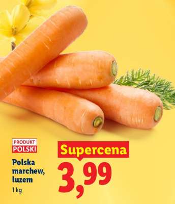 Polska marchew, luzem