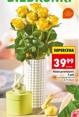 Róża premium*, 7 szt.