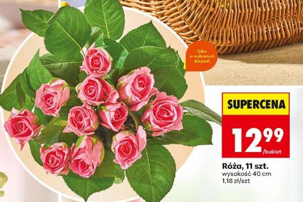 Róża 11 szt