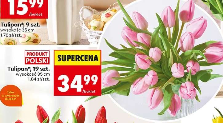 Tulipan*, 19 szt.