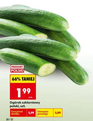 Ogórek szklarniowy polski , szt