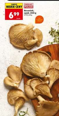 Boczniak, opak. 250 g