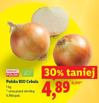 Polska BIO Cebula