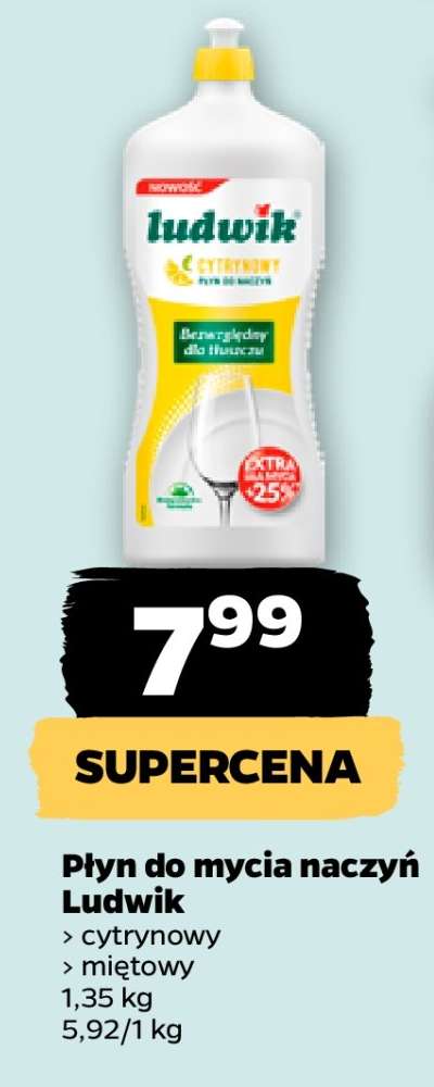 Płyn do mycia naczyń Ludwik