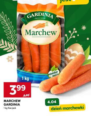 Marchew Gardinia