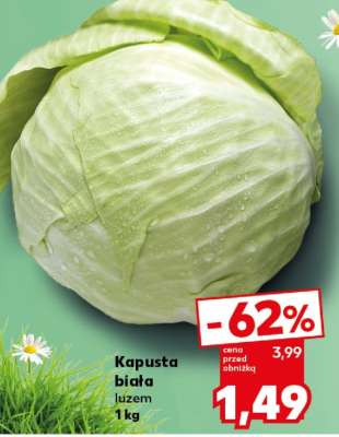 Kapusta biała luzem 1kg
