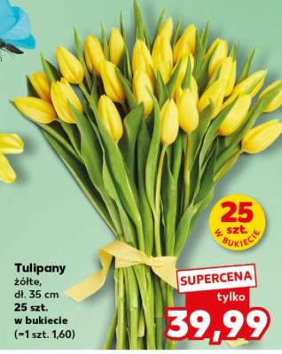 Tulipany