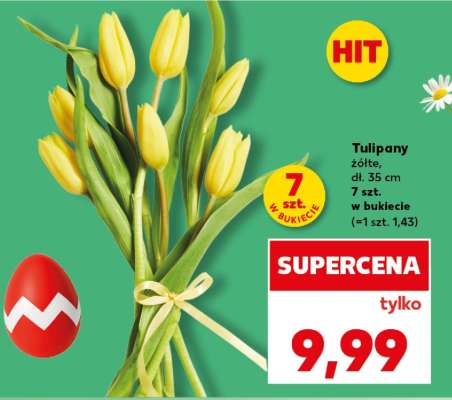 Tulipany żółte, dł. 35 cm 7 szt. w bukiecie