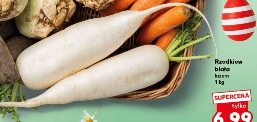 Rzodkiew biała luzem 1 kg