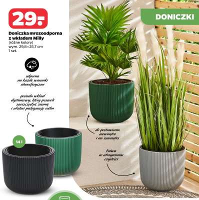 Doniczka mrozoodporna z wkładem Milly