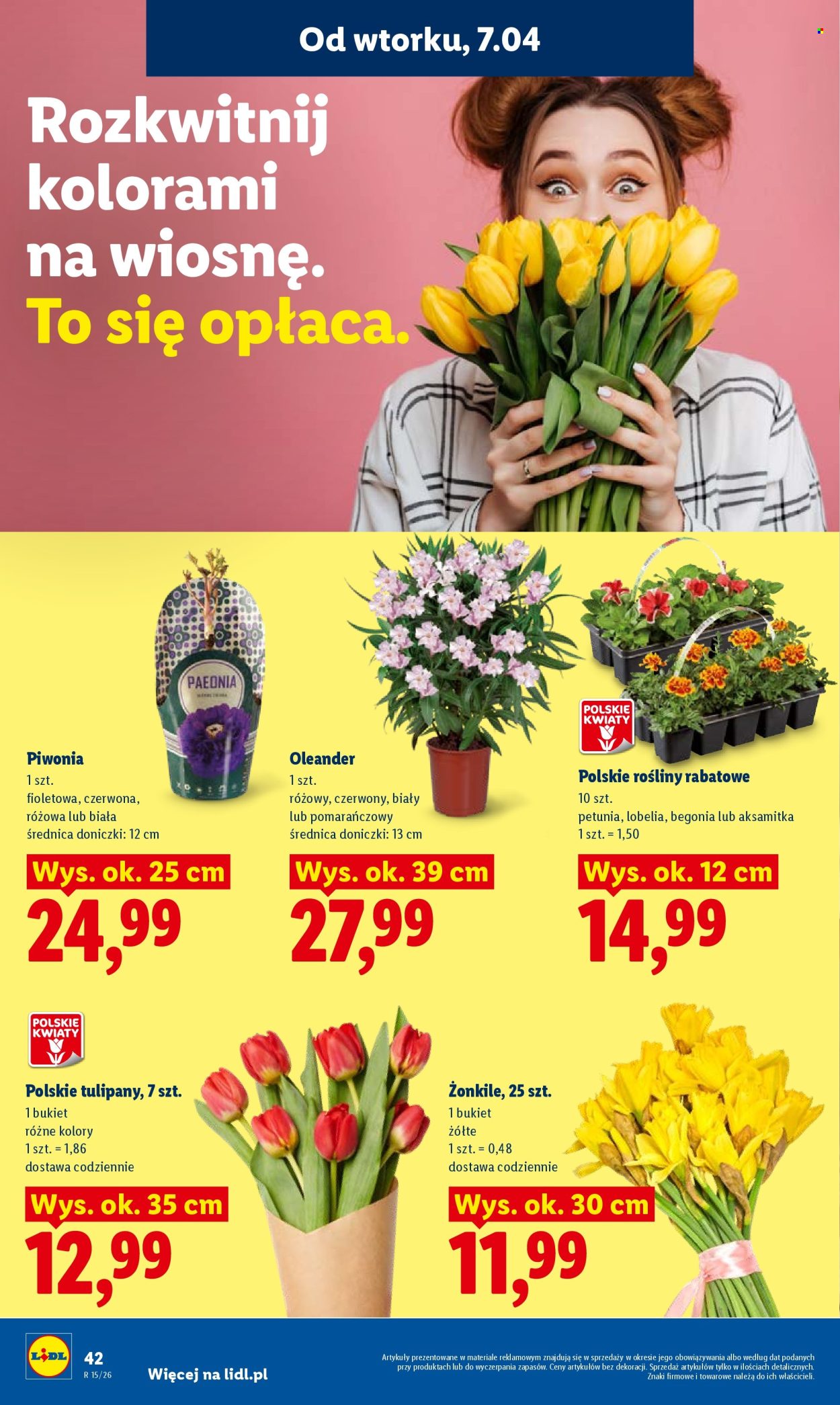 Gazetka Lidl - 7.04.2026 - 8.04.2026. Strona 46