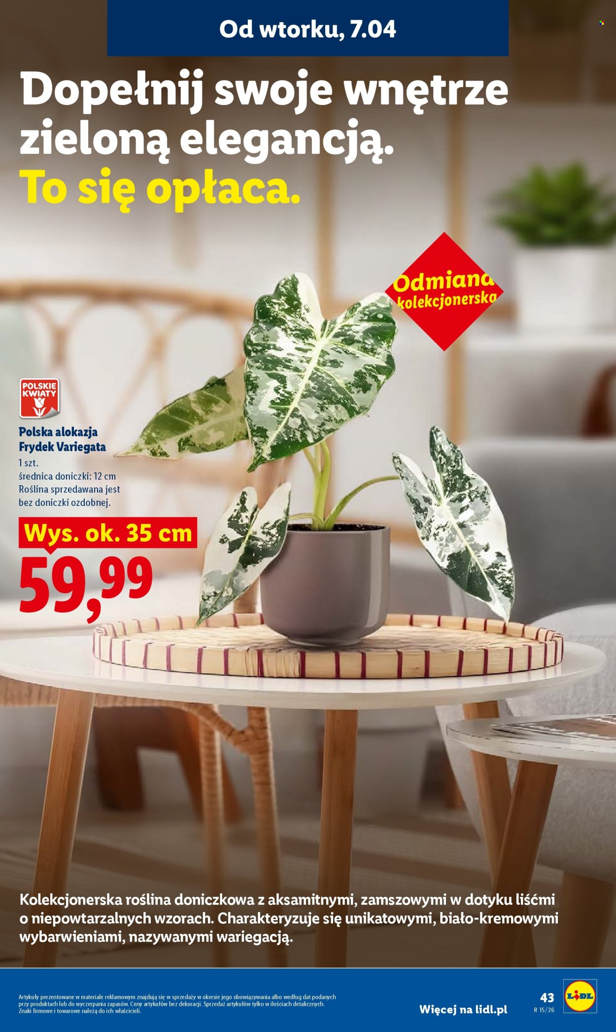 Gazetka Lidl - 7.04.2026 - 8.04.2026. Strona 47