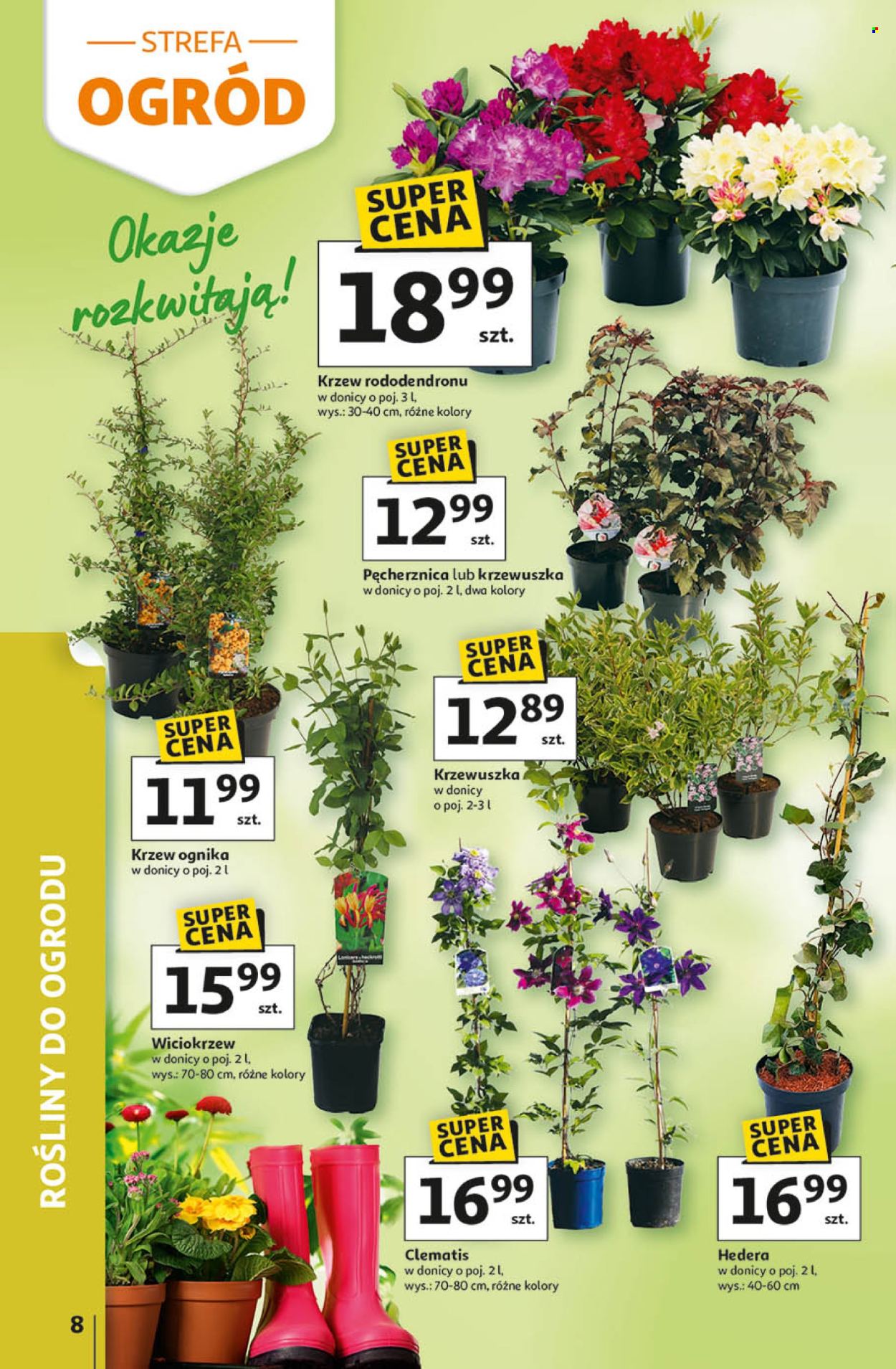 Gazetka Auchan - 9.04.2026 - 15.04.2026. Strona 8