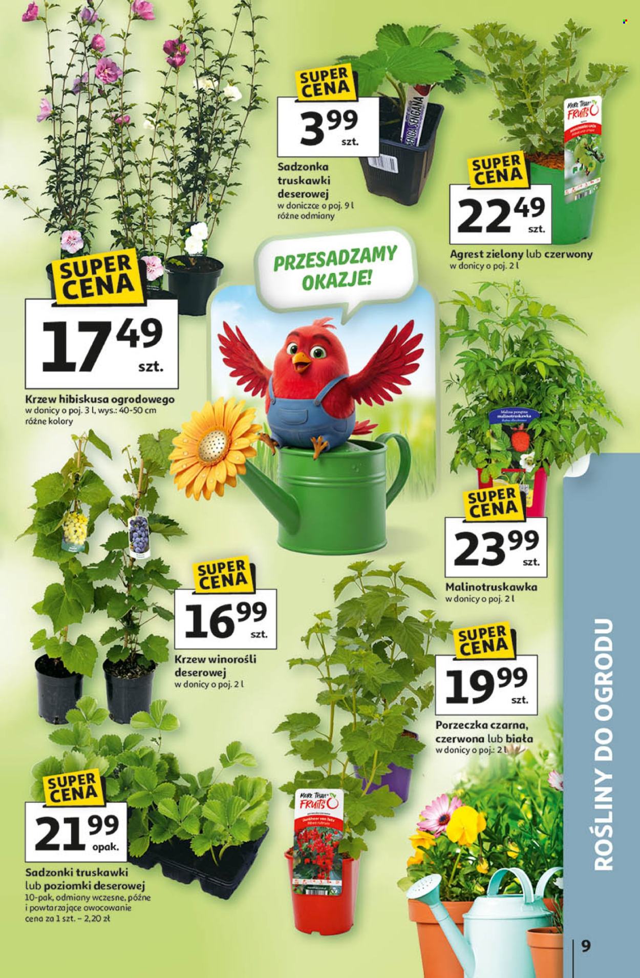 Gazetka Auchan - 9.04.2026 - 15.04.2026. Strona 9
