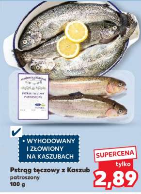 Pstrąg tęczowy z Kaszub patroszony