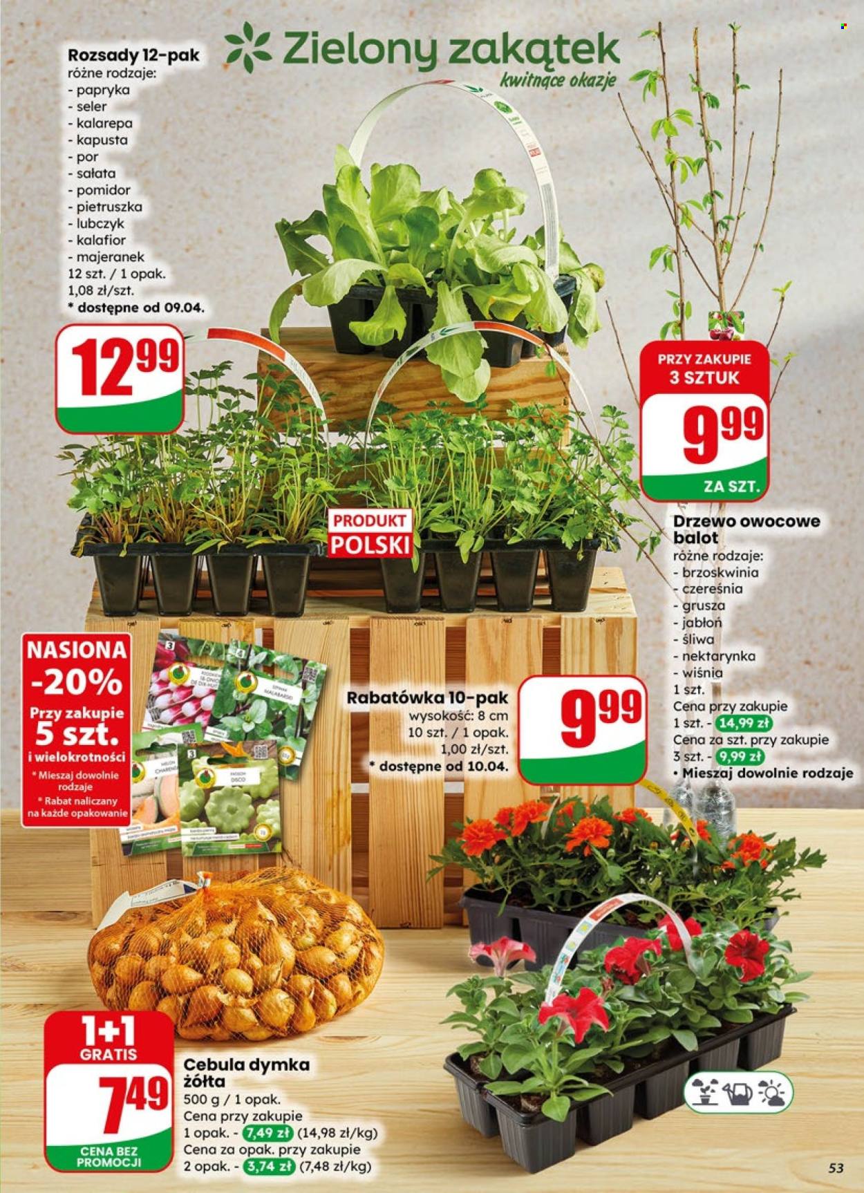 Gazetka Dino - 8.04.2026 - 14.04.2026. Strona 53