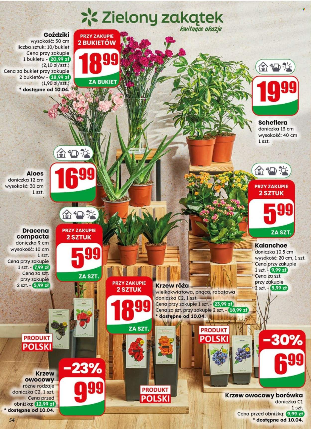 Gazetka Dino - 8.04.2026 - 14.04.2026. Strona 54