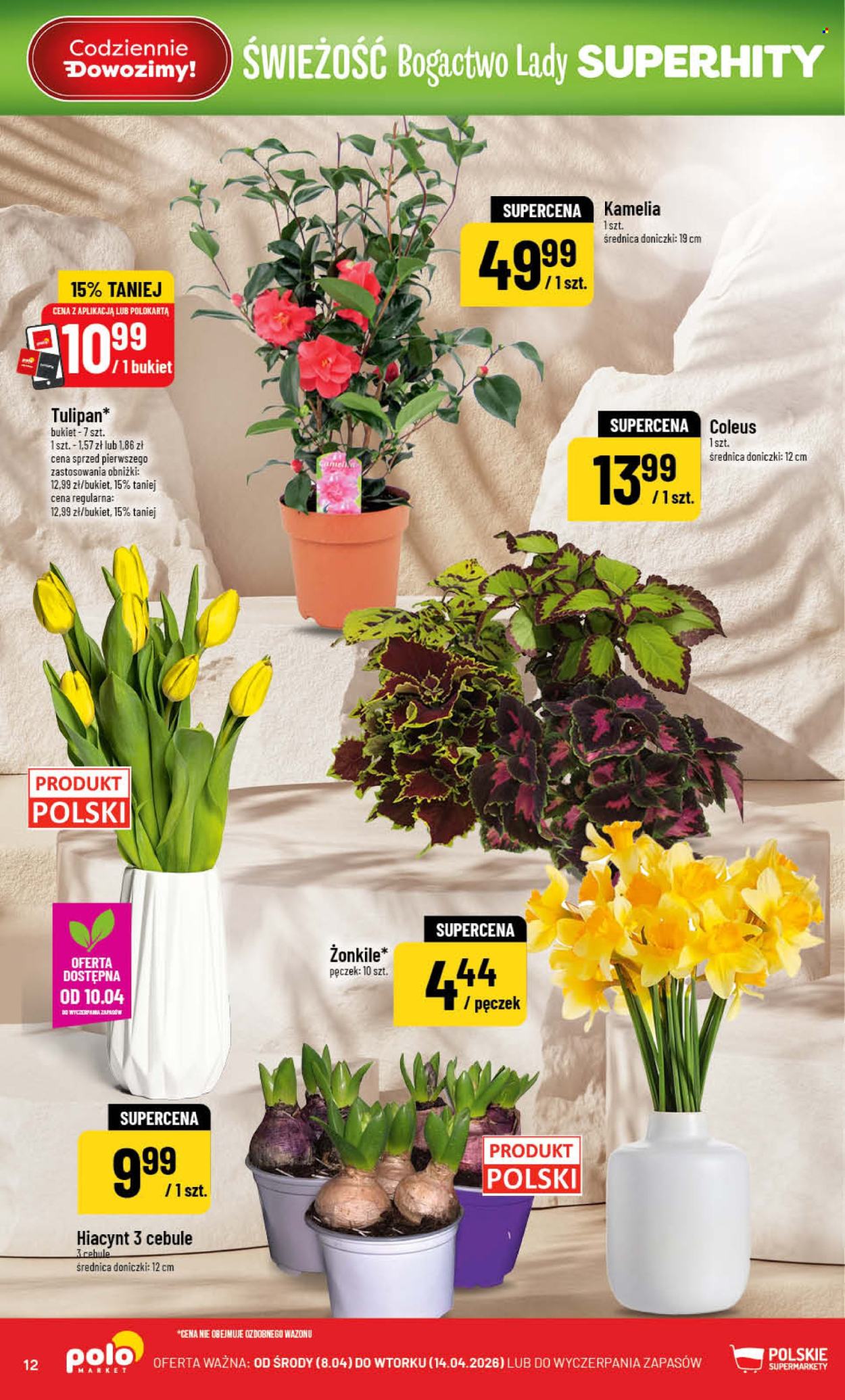 Gazetka Polomarket - 8.04.2026 - 14.04.2026. Strona 12