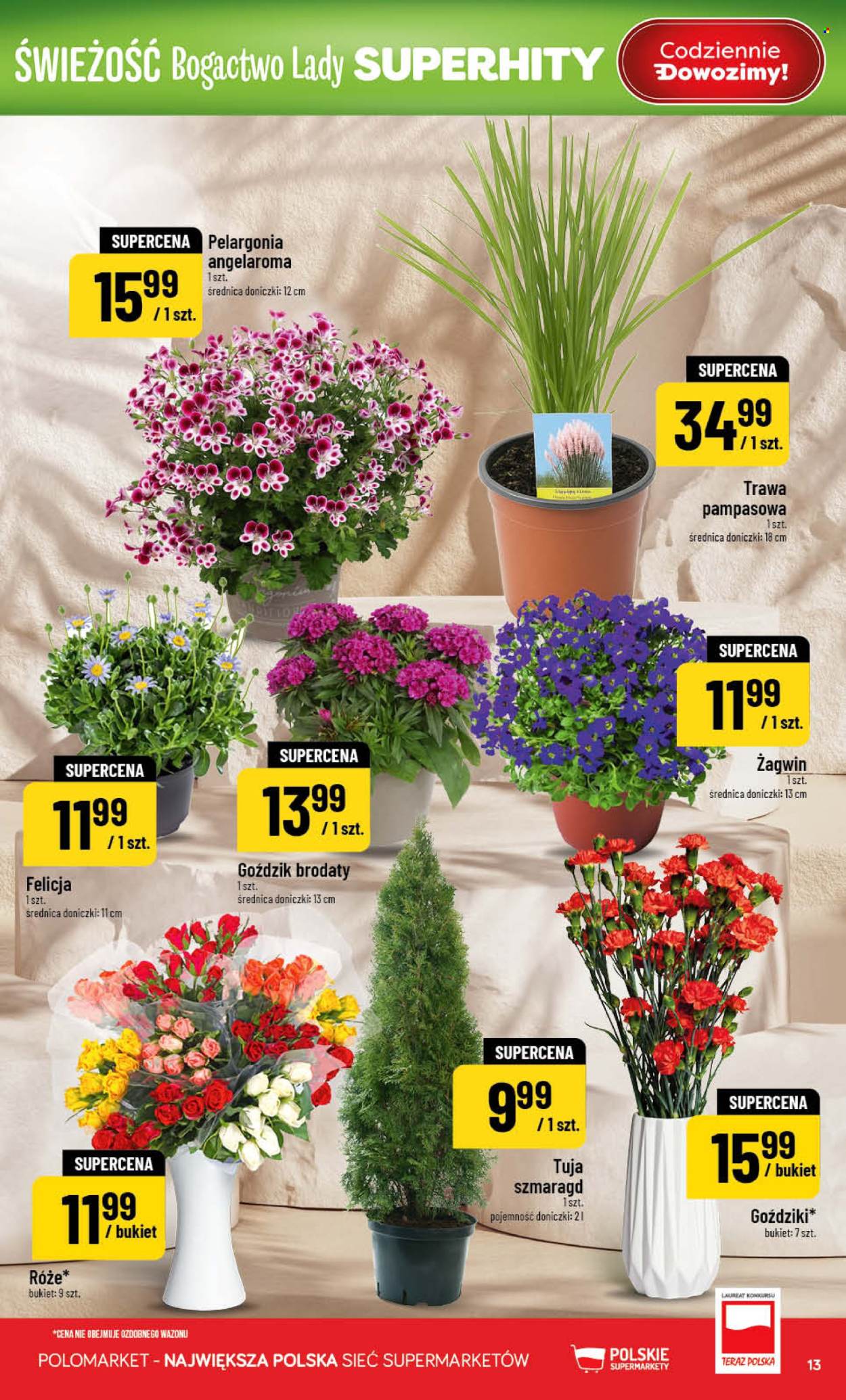 Gazetka Polomarket - 8.04.2026 - 14.04.2026. Strona 13