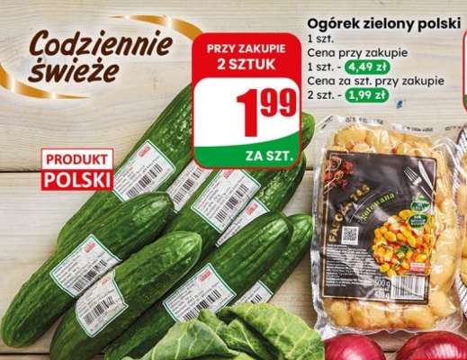 Ogórek zielony polski