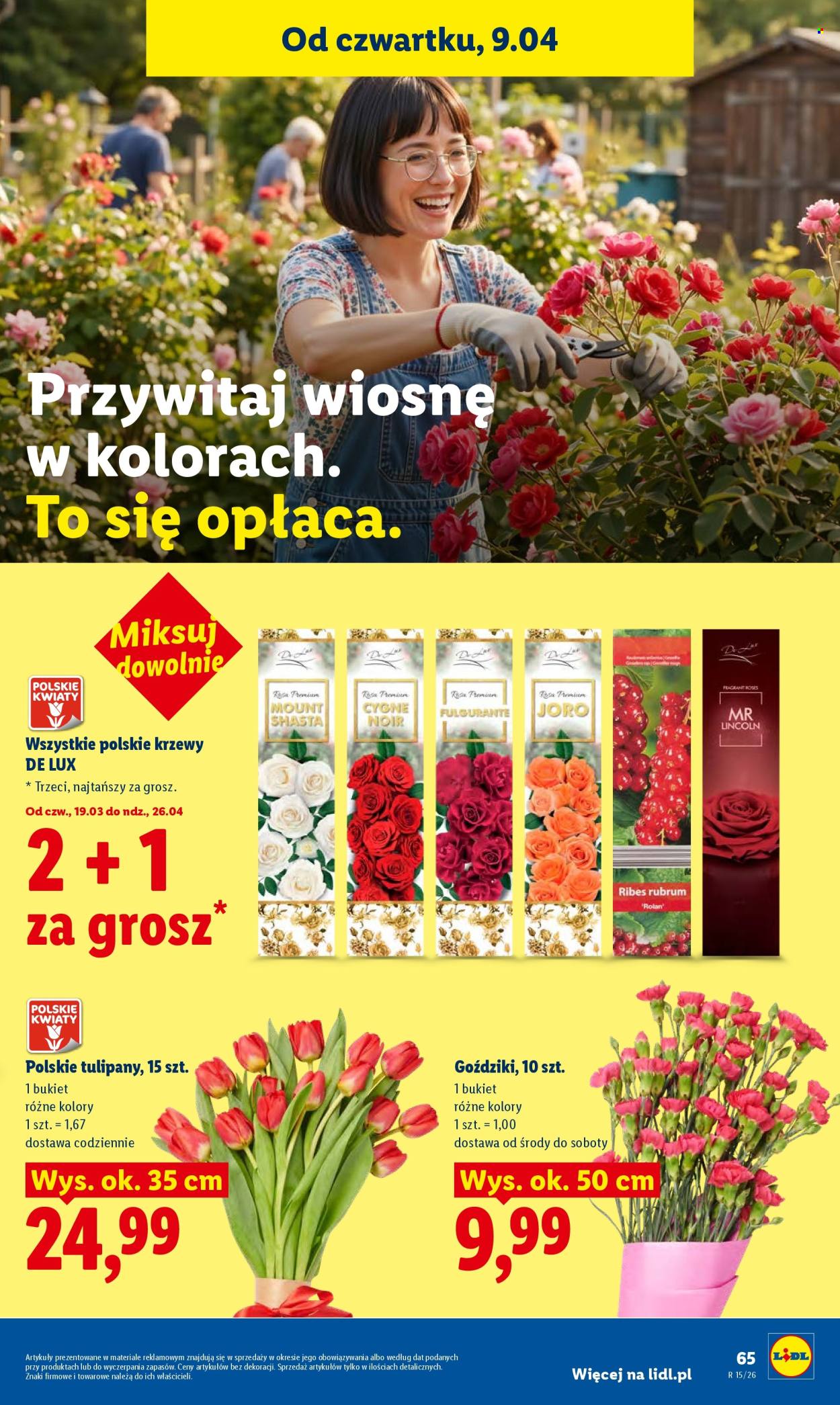 Gazetka Lidl - 9.04.2026 - 11.04.2026. Strona 65