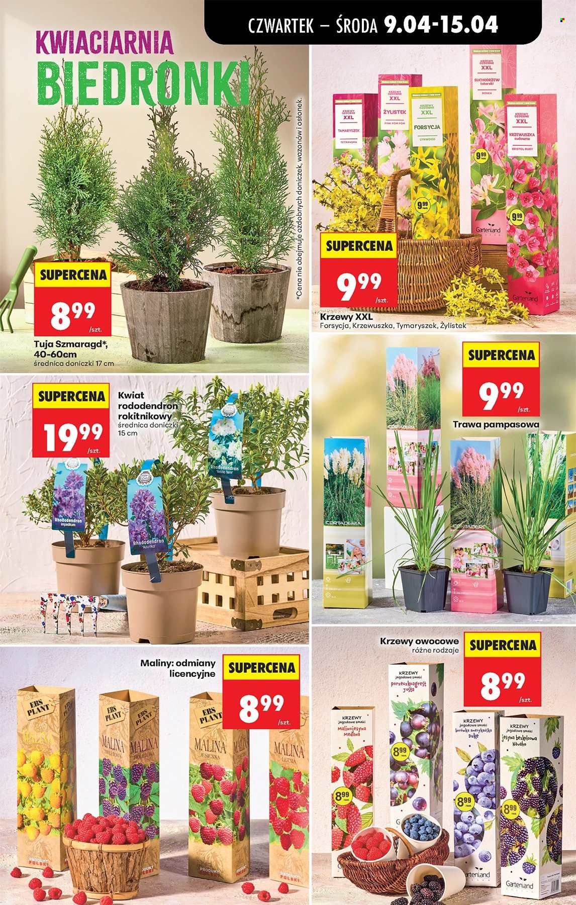 Gazetka Biedronka - 9.04.2026 - 15.04.2026. Strona 63