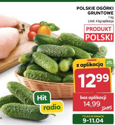 Polskie ogórki gruntowe