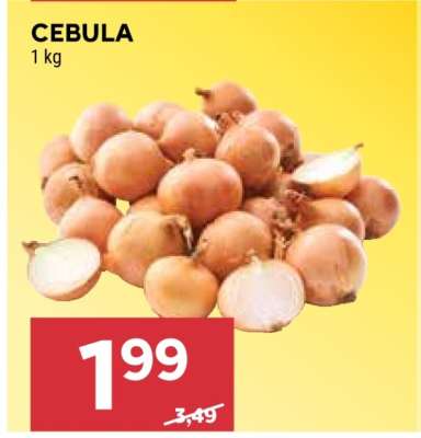 Cebula