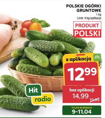 Polskie ogórki gruntowe