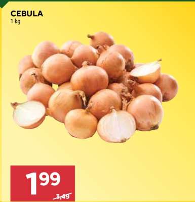 Cebula