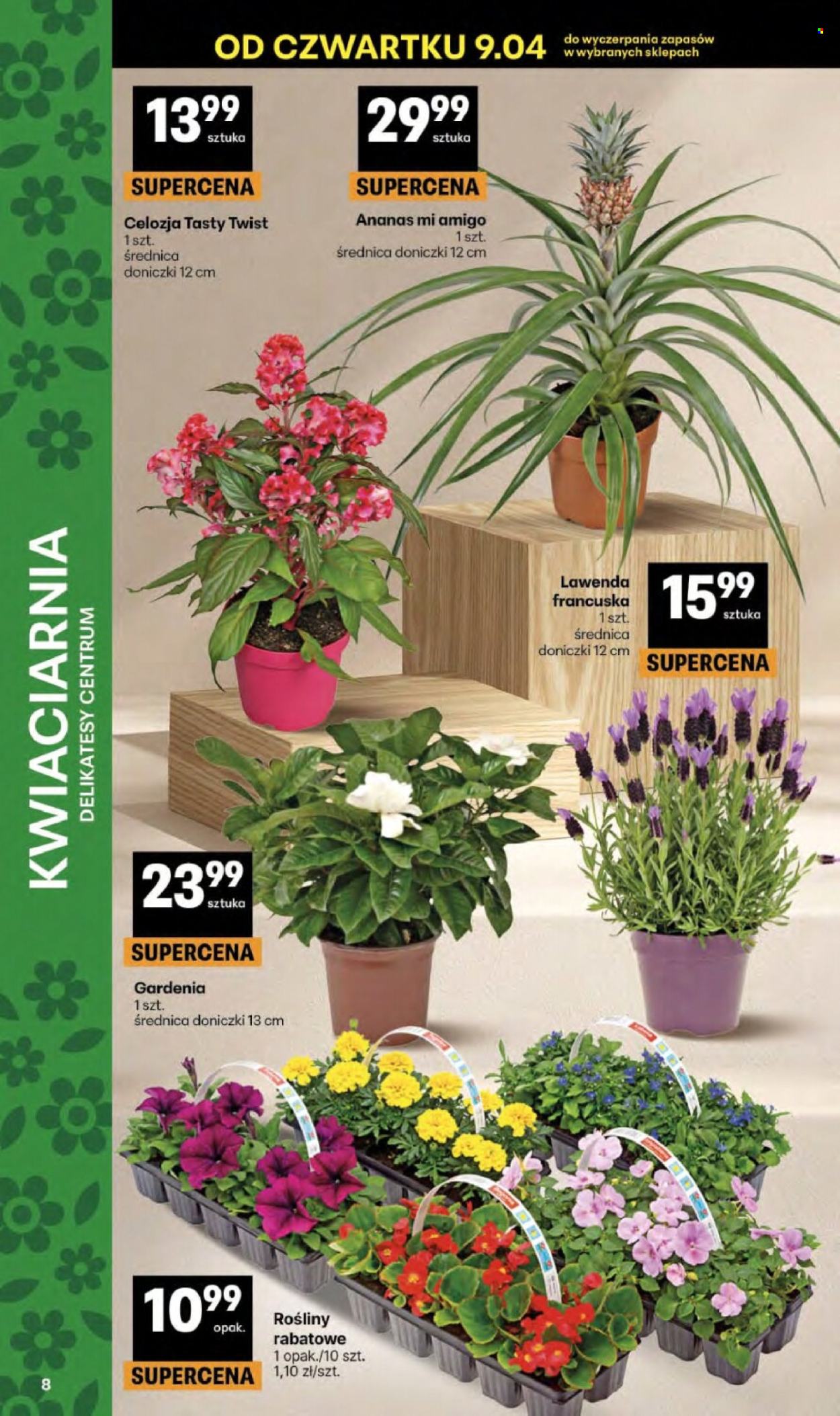 Gazetka Delikatesy Centrum - 9.04.2026 - 15.04.2026. Strona 8