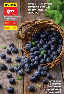 Borówka amerykańska XL, opak. 150 g