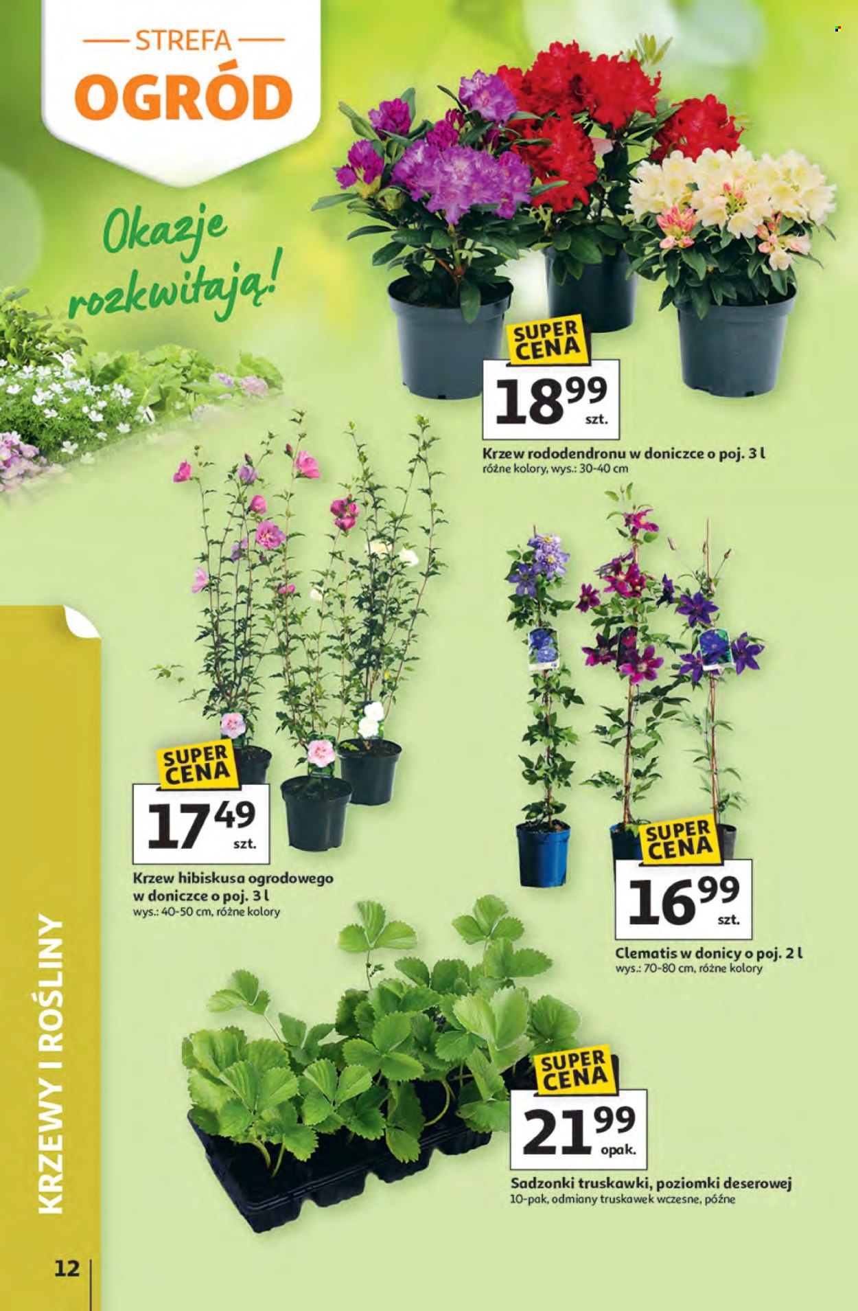 Gazetka Auchan - 9.04.2026 - 22.04.2026. Strona 12