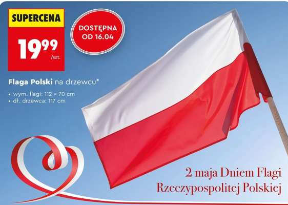 Flaga Polski na drzewcu*