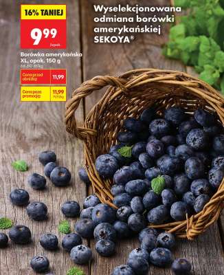 Borówka amerykańska XL, opak. 150 g
