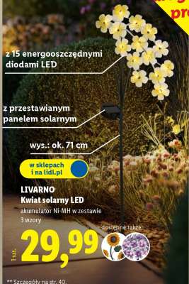 LIVARNO Kwiat solarny LED