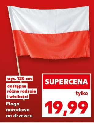 Flaga narodowa na drzewcu