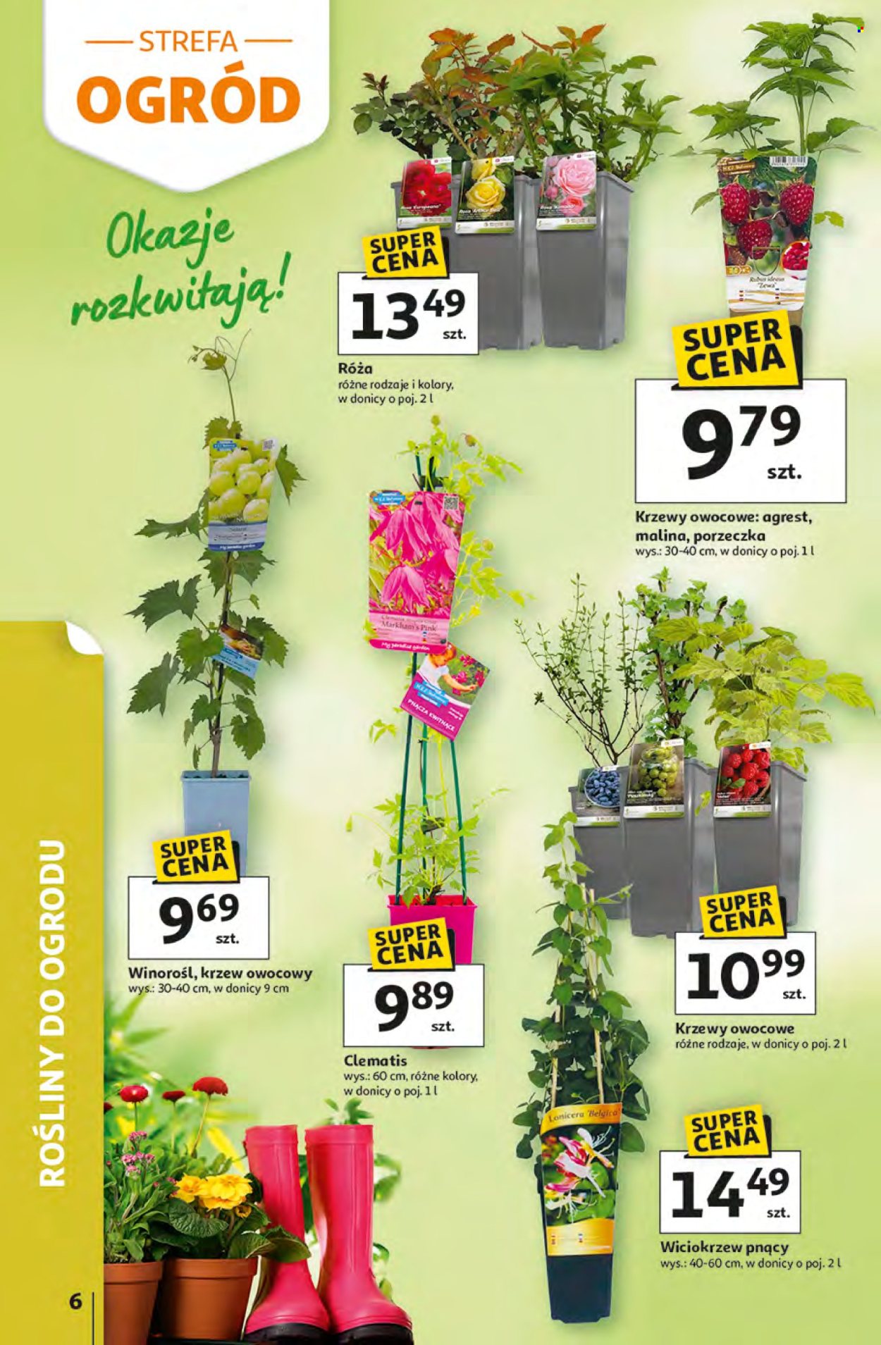 Gazetka Auchan - 16.04.2026 - 22.04.2026. Strona 6
