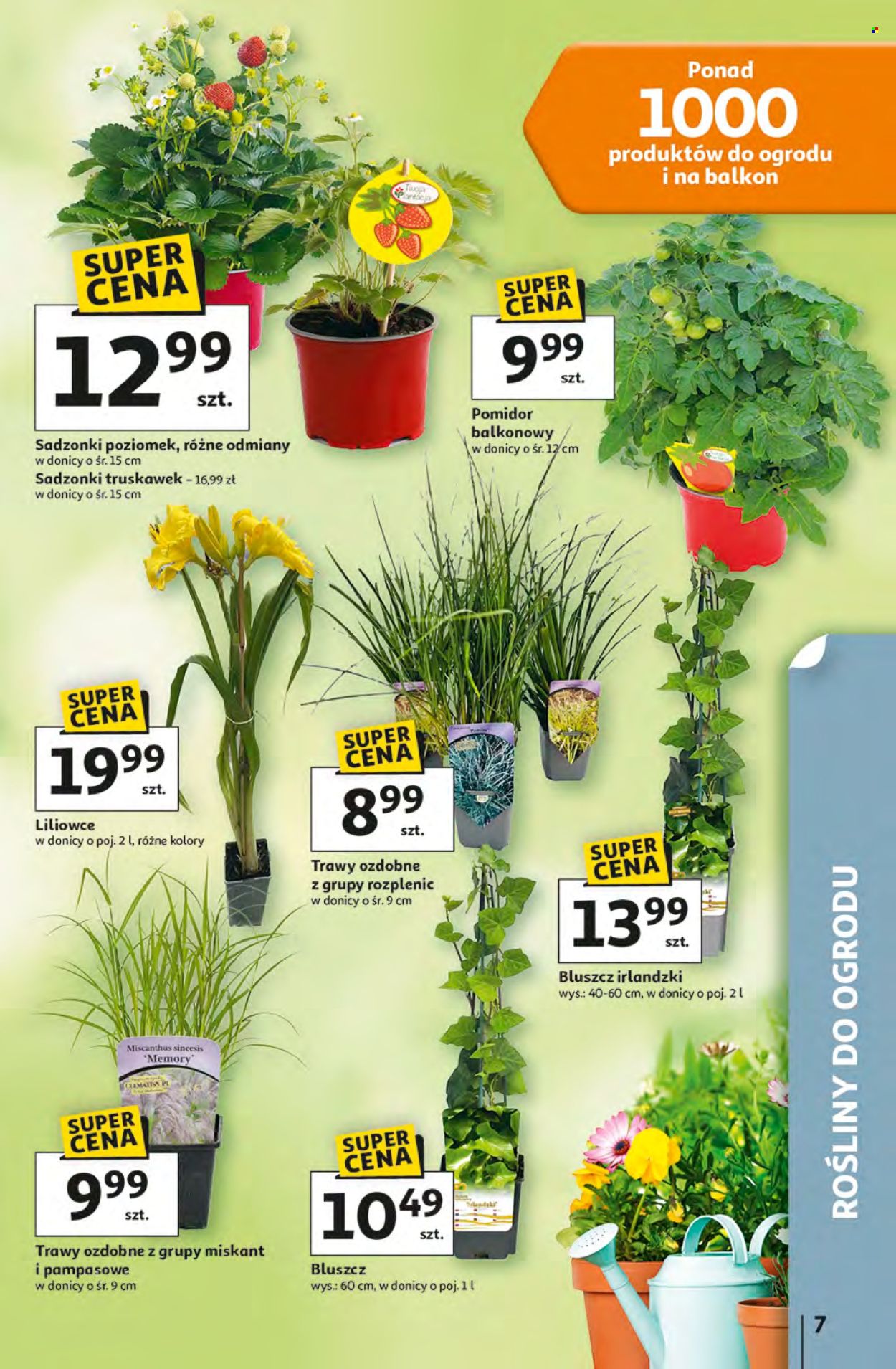 Gazetka Auchan - 16.04.2026 - 22.04.2026. Strona 7