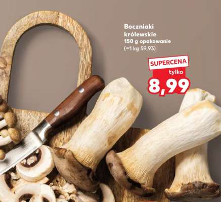 Boczniaki królewskie