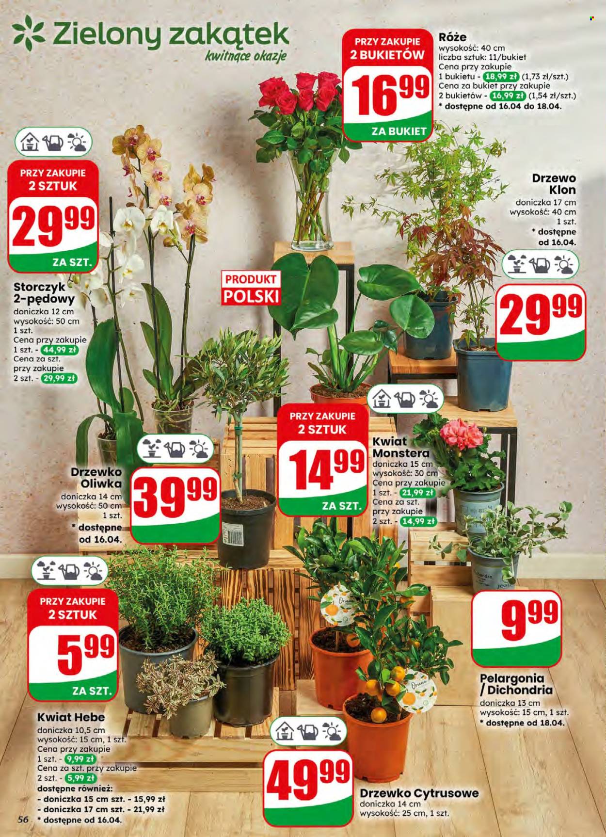 Gazetka Dino - 15.04.2026 - 21.04.2026. Strona 56