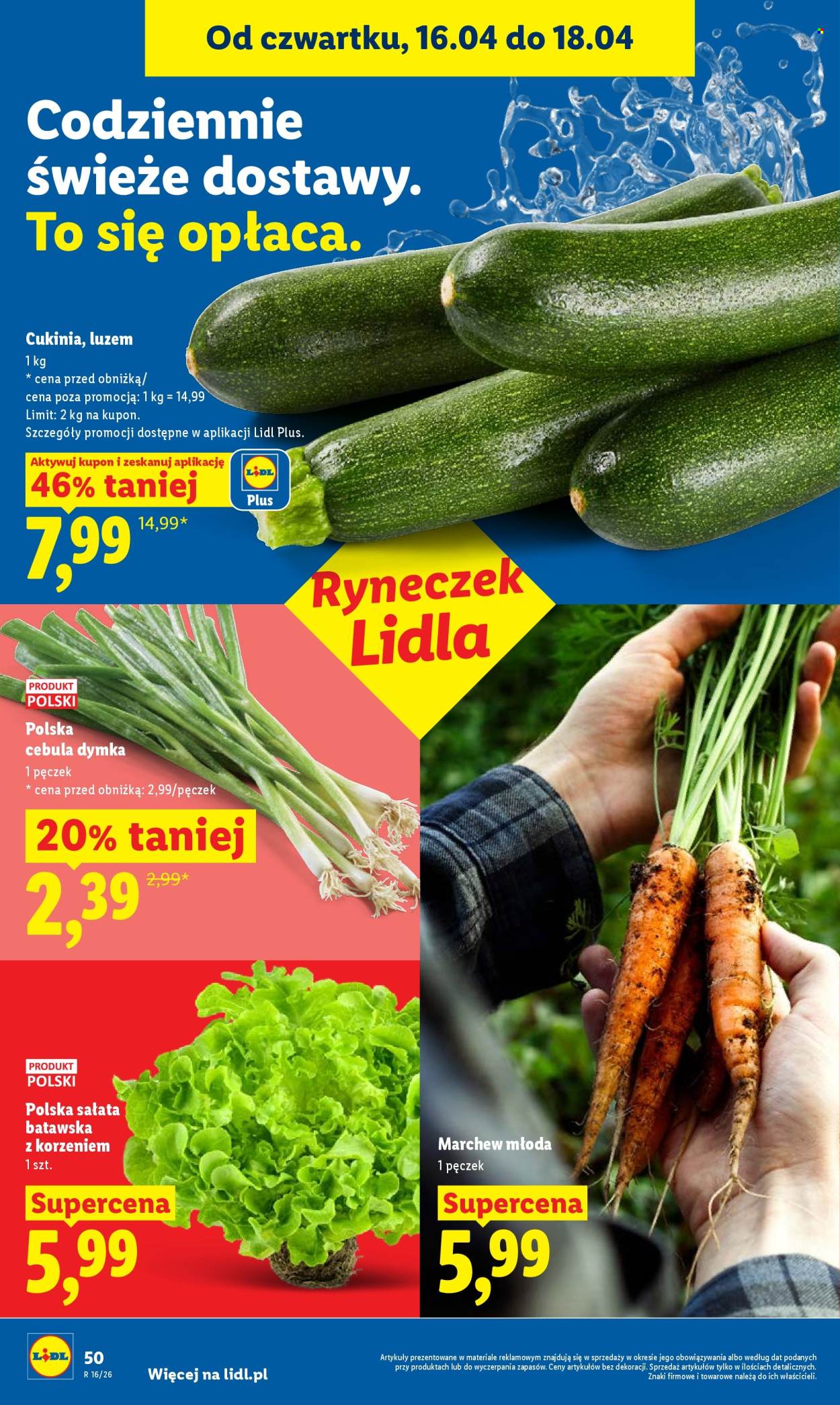 Gazetka Lidl - 16.04.2026 - 18.04.2026. Strona 50