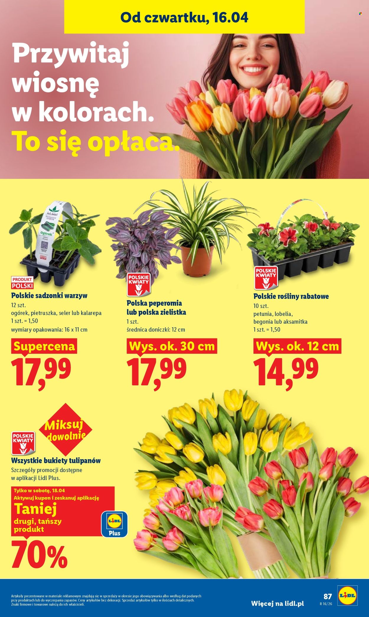 Gazetka Lidl - 16.04.2026 - 18.04.2026. Strona 87