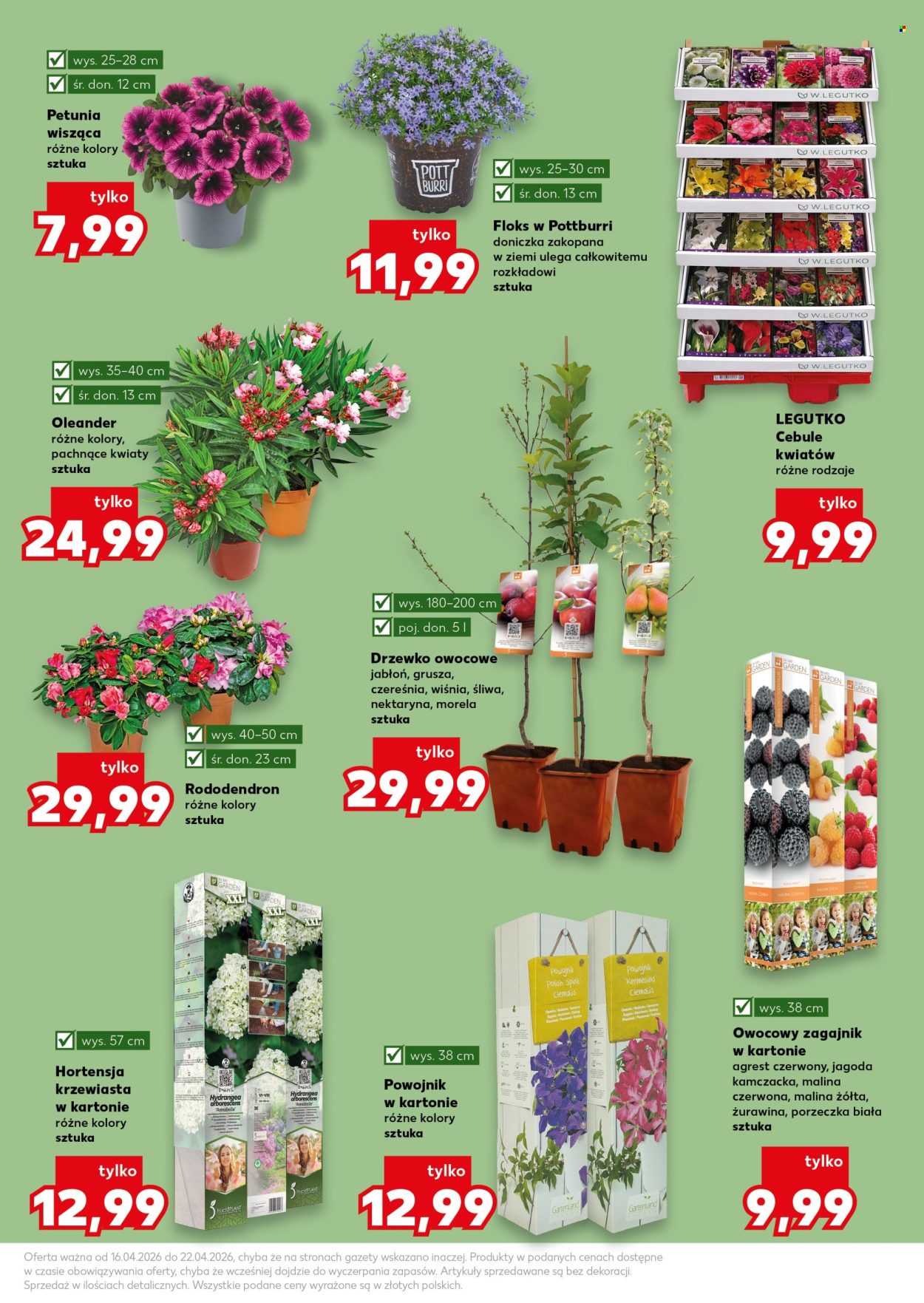 Gazetka Kaufland - 16.04.2026 - 22.04.2026. Strona 11