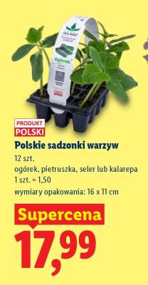 Polskie sadzonki warzyw