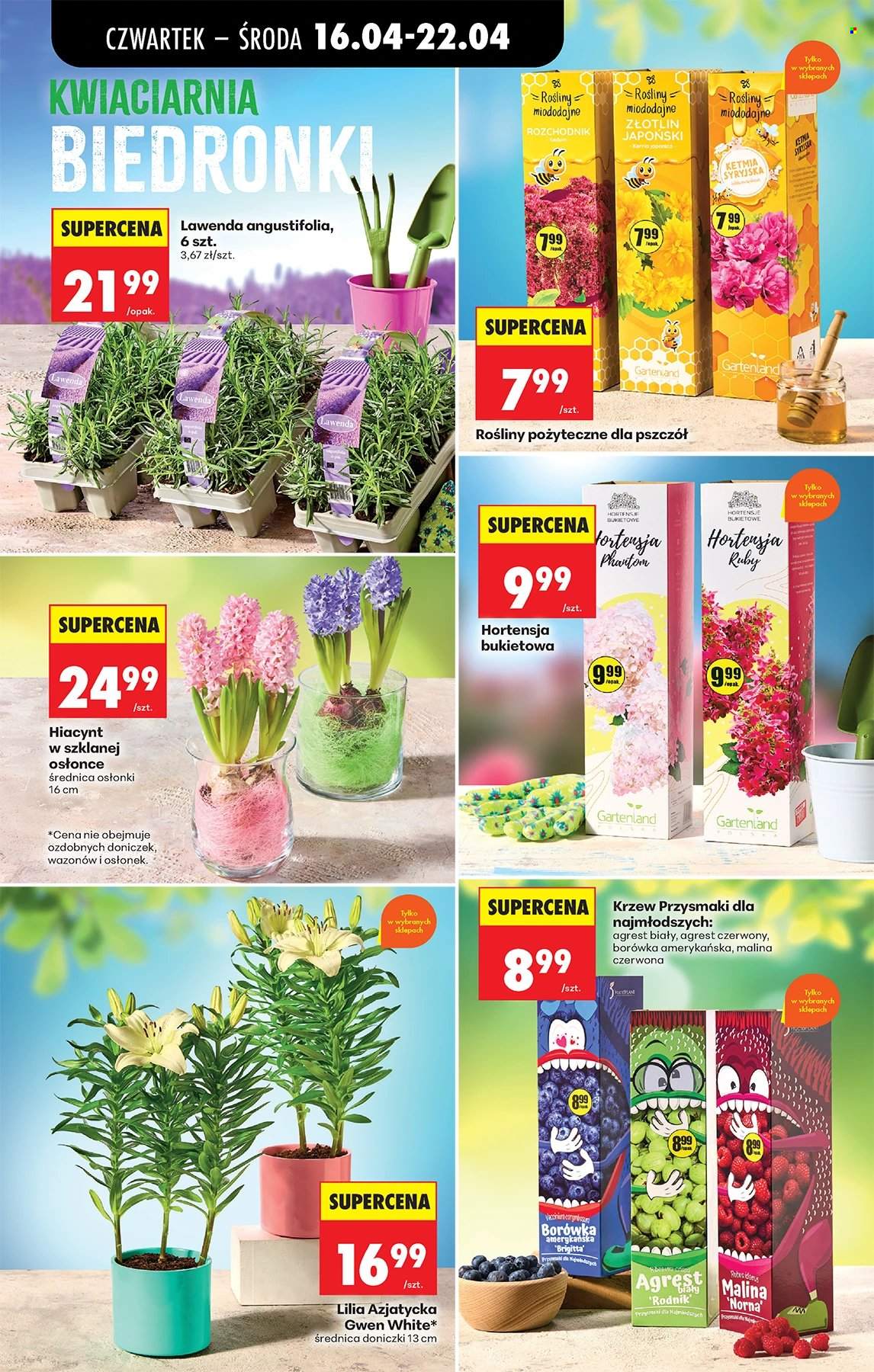 Gazetka Biedronka - 16.04.2026 - 22.04.2026. Strona 79