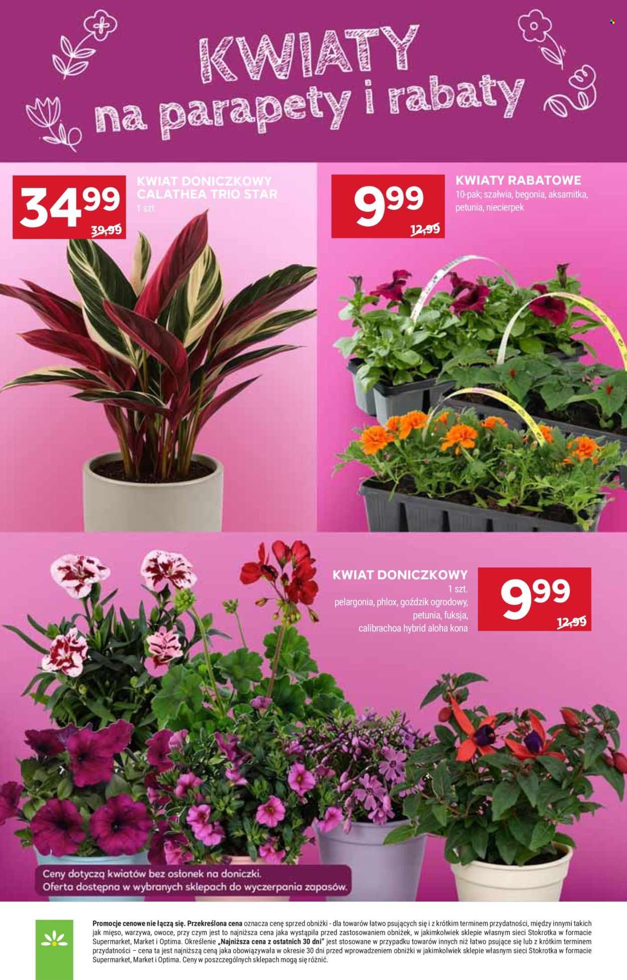 Gazetka Stokrotka Market - 16.04.2026 - 22.04.2026. Strona 7