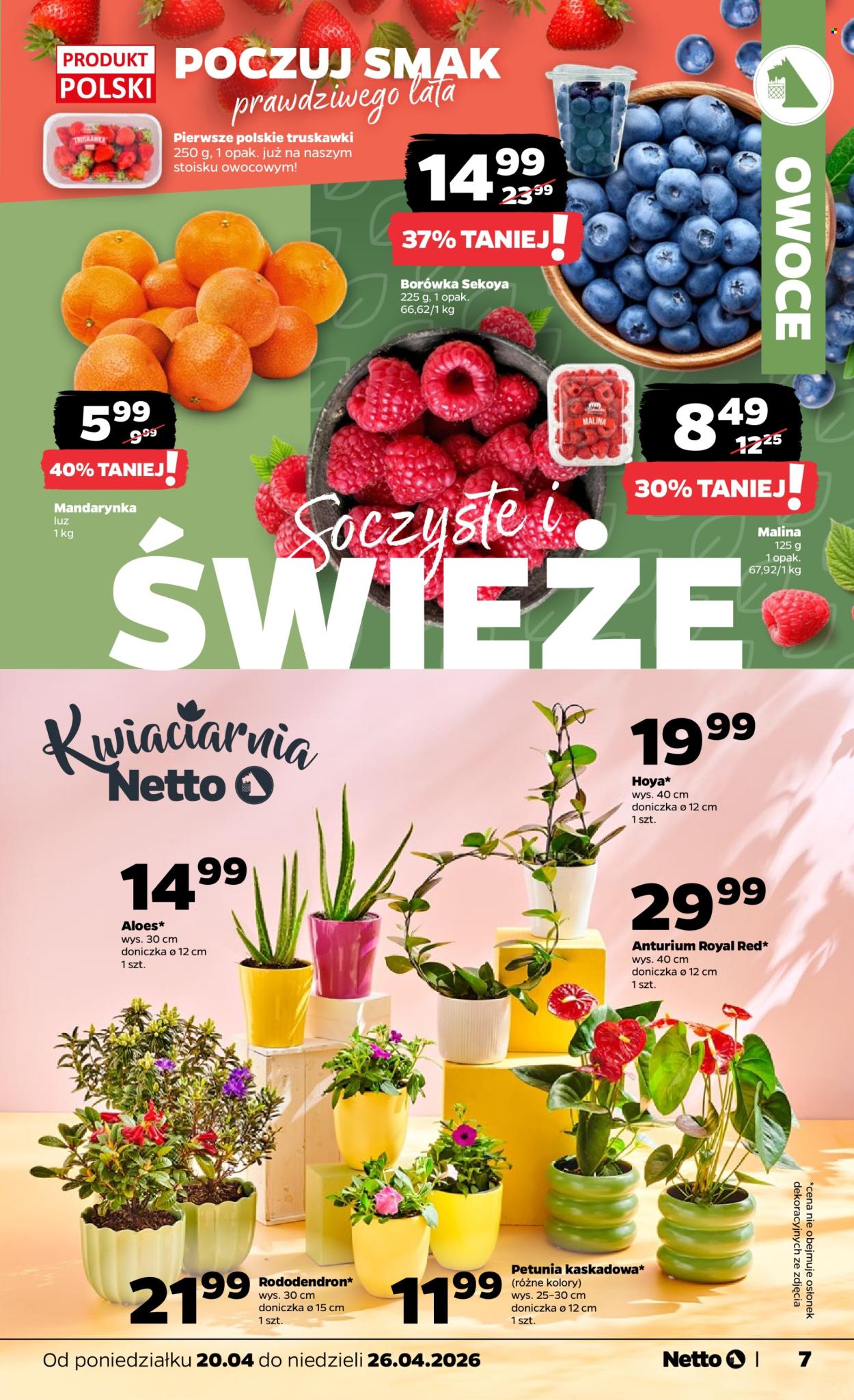 Gazetka Netto - 20.04.2026 - 26.04.2026. Strona 7