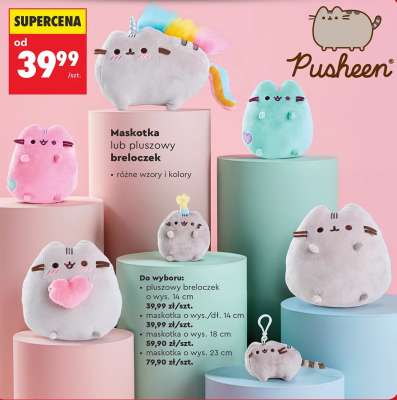 Maskotka lub pluszowy breloczek