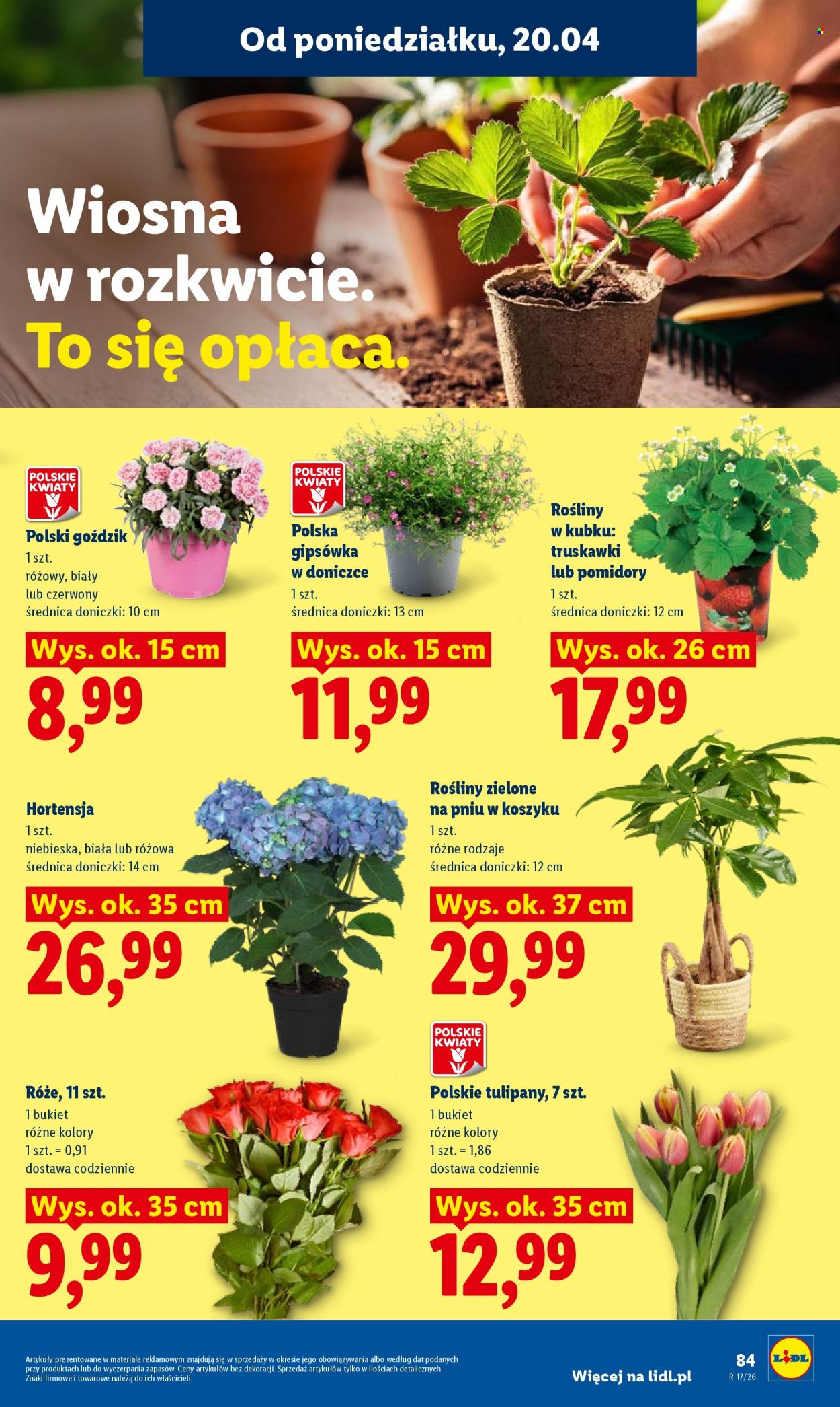 Gazetka Lidl - 20.04.2026 - 22.04.2026. Strona 87